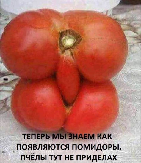 hadajte co to je