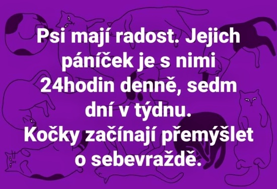 radost psov, smutok maciek