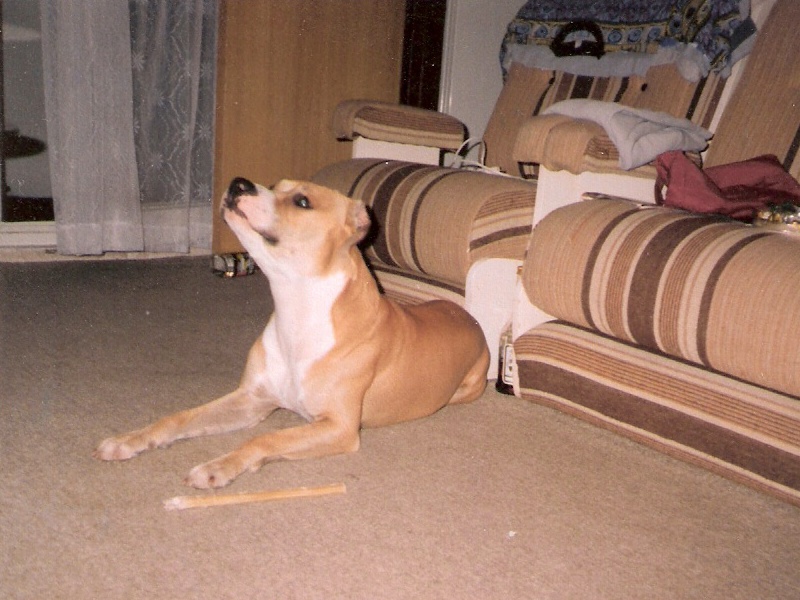 19990000.jpg