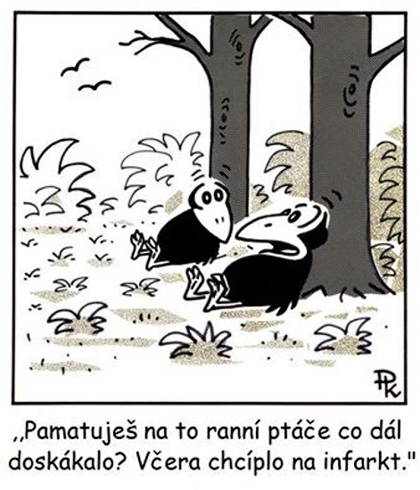 Kantorek pamatujesn