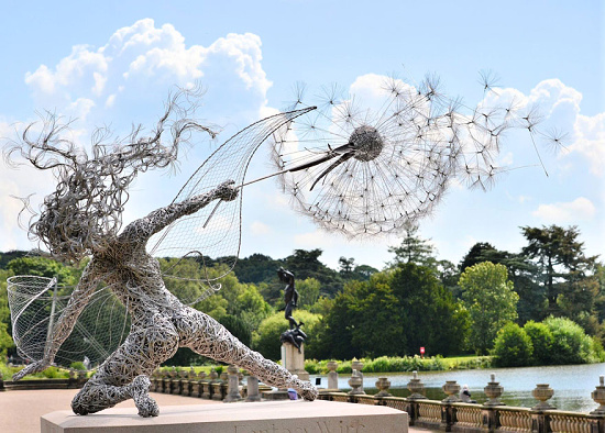 Robin Wight Dancing With Dandelion