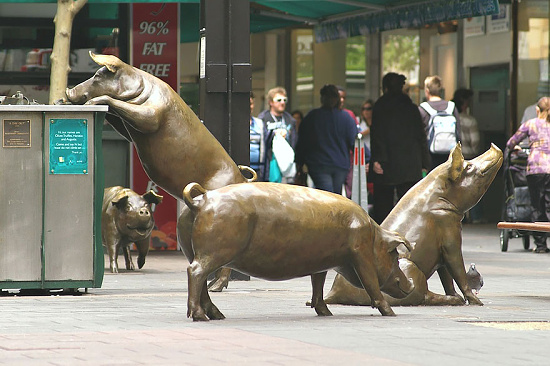 A Day Out Adelaide Australia