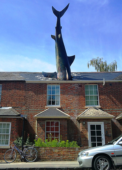 38. The Shark Oxford United Kingdom