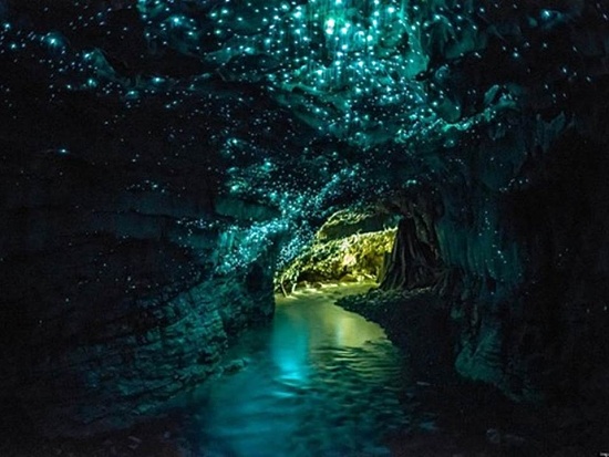 Jaskyna Waitomo Novy Zeland