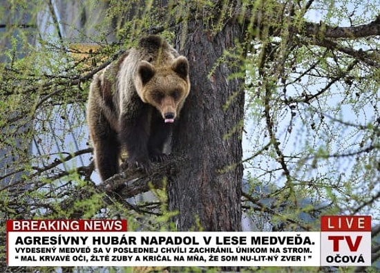 hrozne, co sa v tej Ocovej deje