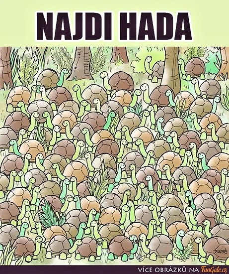 najdi hada