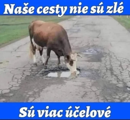 vo viacucelovych sme spica