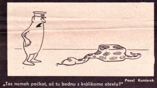 Kantorek tosnemohpo