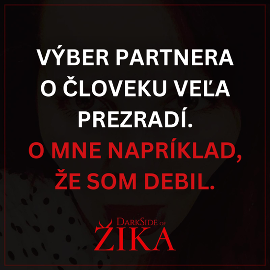 vyber partnera