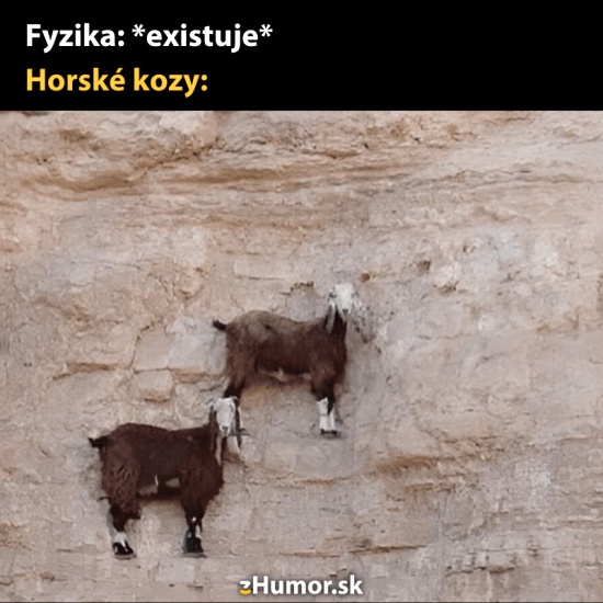 kozy ako modelky