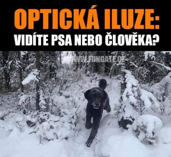 obe moznosti existuju