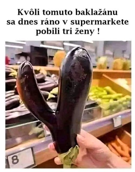 vydareny baklazan sa hodi