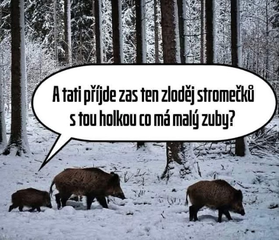 legitimna otazka