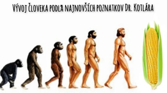 vyvoj podla Kotlara