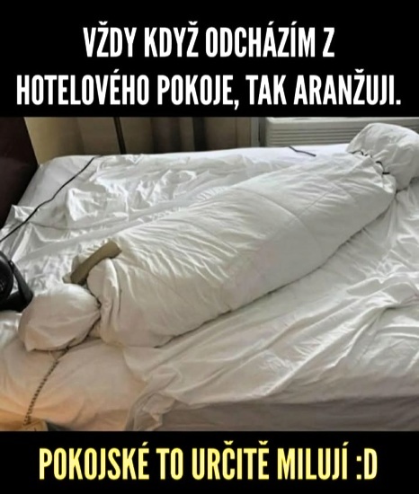 zodolnovanie chyznych