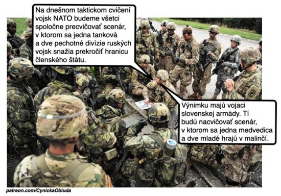 slovenska vynimka