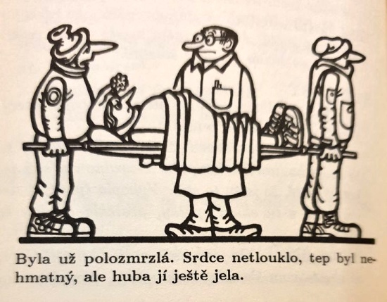 Neprakta bylauzpolo