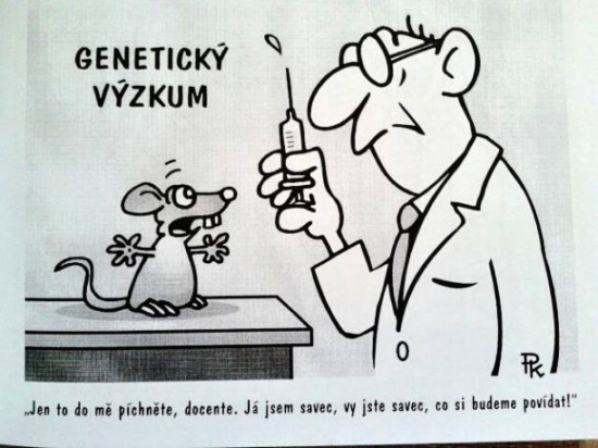 Kantorek jentodomep