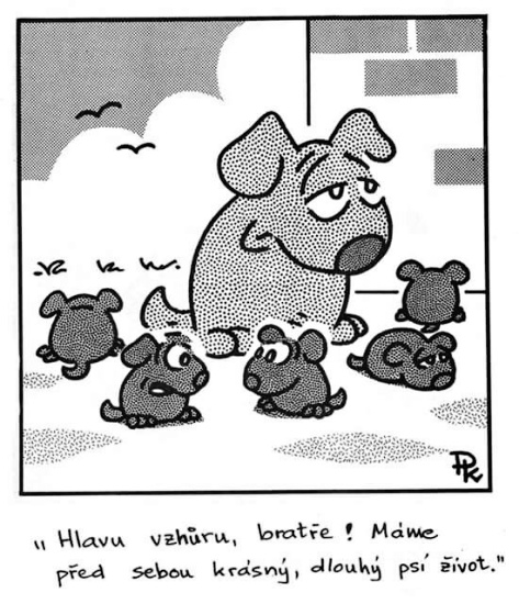 Kantorek hlavuvzhur