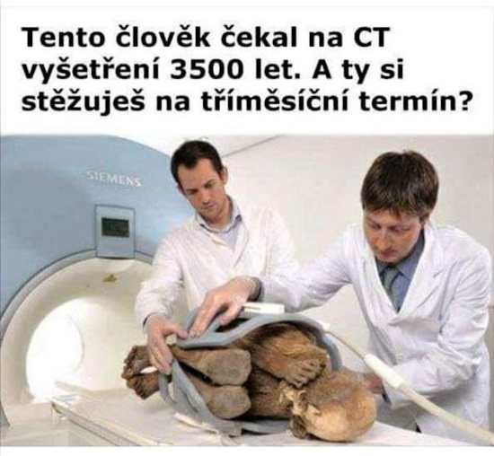 stazovatel