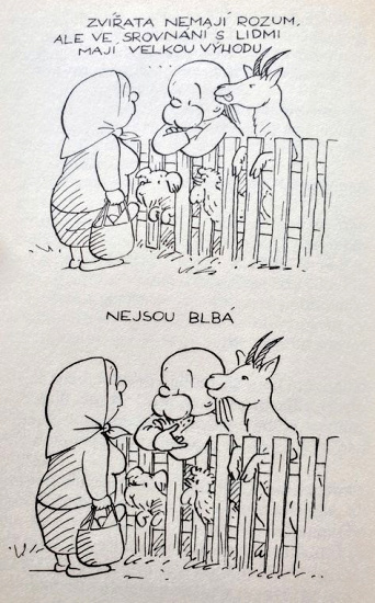 Hradecky nejsoublba