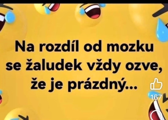 zaludek se ozve