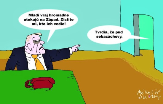 Sliacky mladivrajh