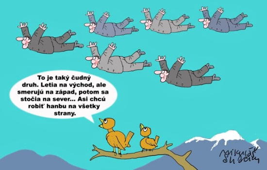 Sliacky taky cudny druh