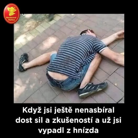 vypadnuty z hniezda