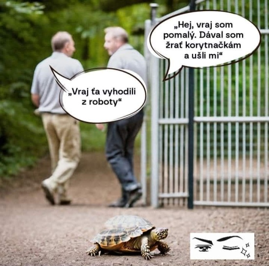 to boli asi ninjovky