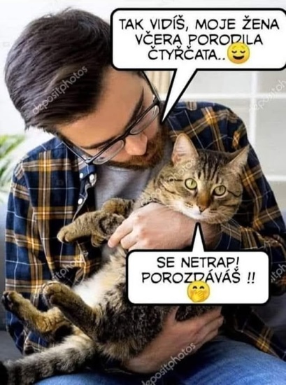 porozdavas