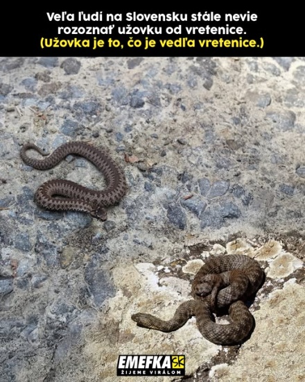 na prvy pohlad jasne