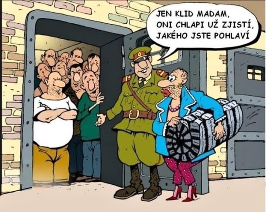 no name chlapi zistia