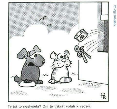 Kantorek trojnasobna vyzva