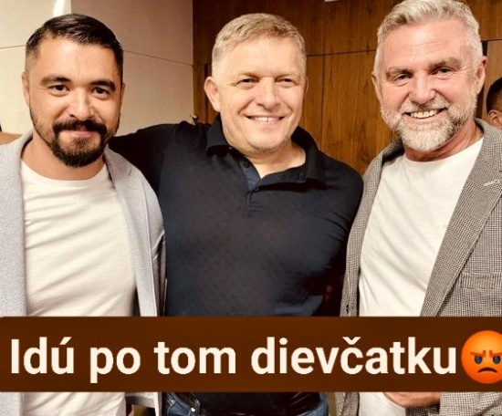 vysetrit ucastnicku nehody