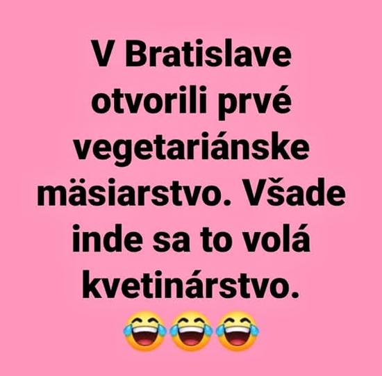 terminologicke odlisnosti
