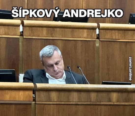 ktora pricezna ho prebudi