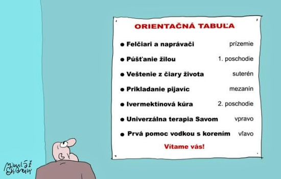 Sliacky vzorovy model nemocnic