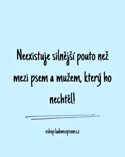 paradoxne, ale pravdive