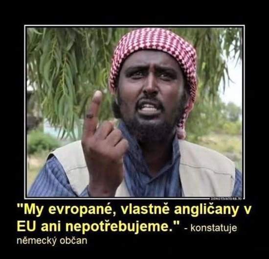 vyjadrenie Europana