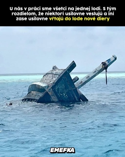 jedni vesluju ini vrtaju