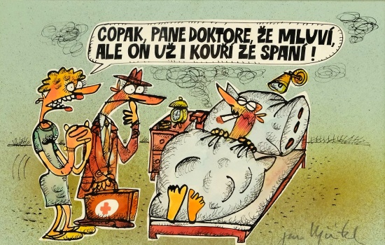Vycital copakpaned