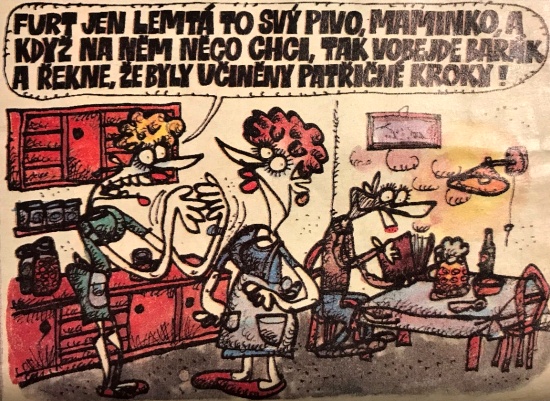 Vycital furtjenlem
