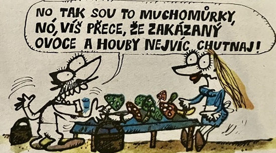 Vycital notaksouto