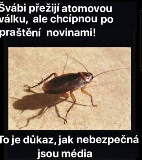 media horsie ako jadrova vojna