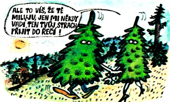Vycital aletovisze