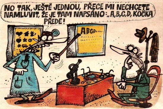 Vycital notakjeste