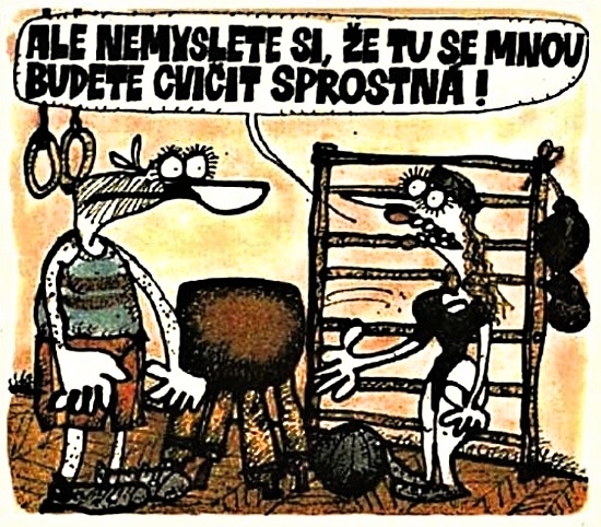 Vycital alenemysle