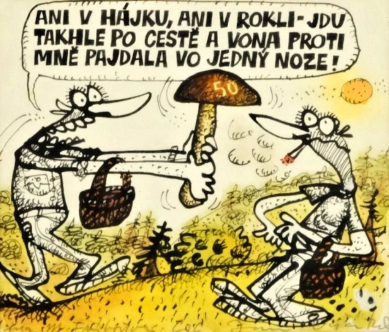 Vycital anivhajkua