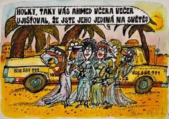 Vycital holkytakyv